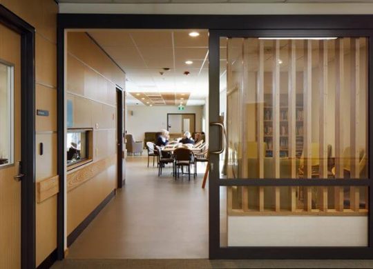 DS-Series-1-690x460 (1)