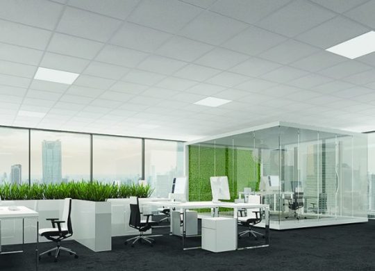 Fissura_office_1_Postweb-618x460