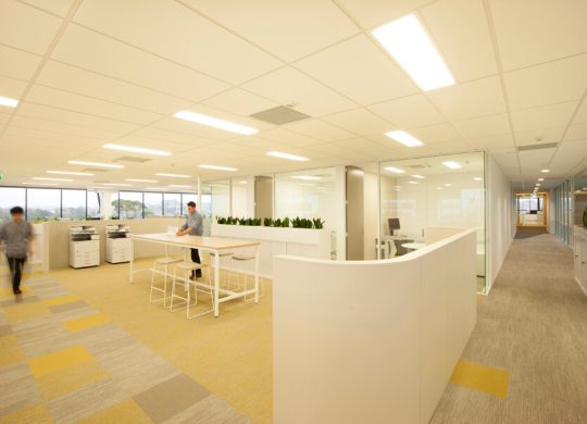 Flexible-plasterboard-2