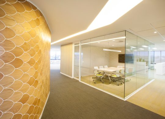 Flexible-plasterboard-3