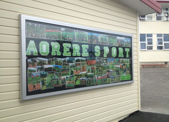 Lockable-notice-board (4)